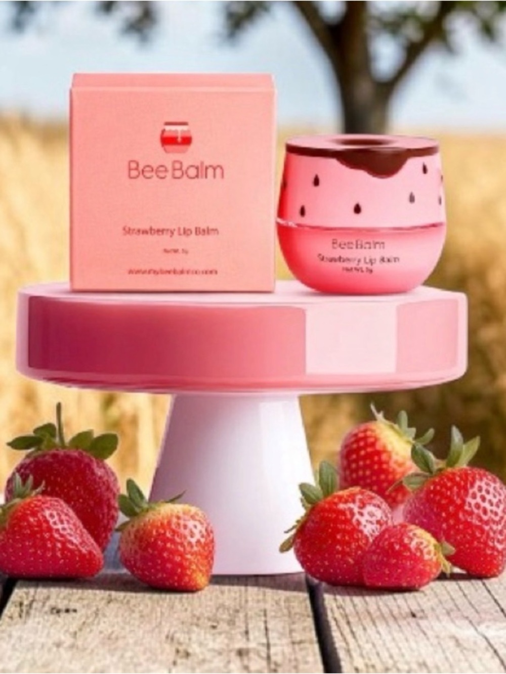 Bee Balm Strawberry Pink